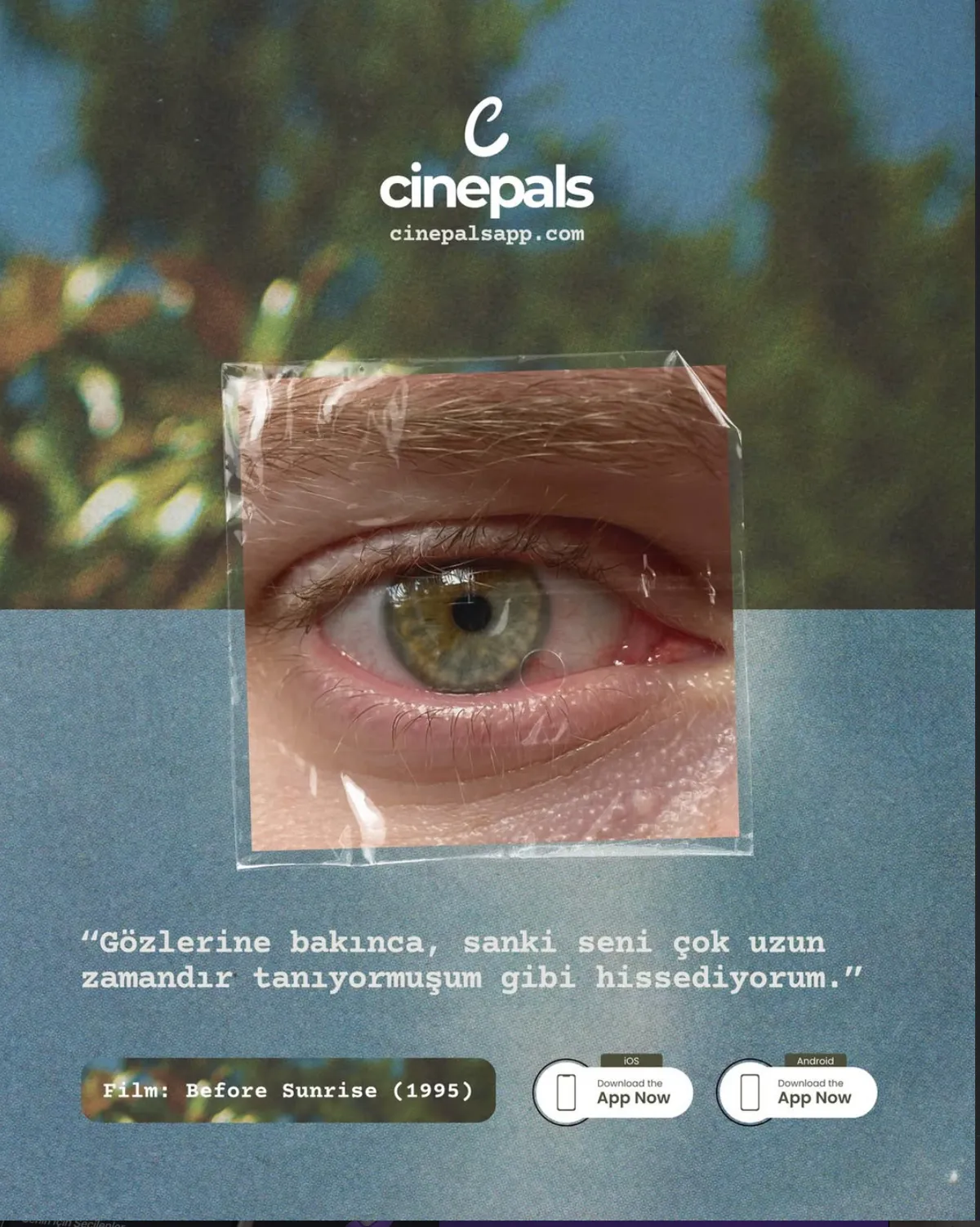 Cinepals — Film Alıntısı Serisi